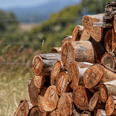 Wood logs stacked on one another