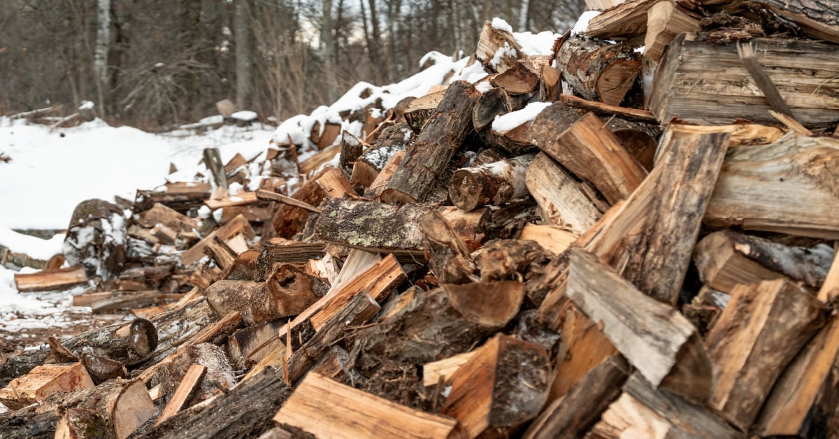 Pile of logs