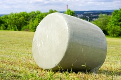Round hay bale in a field