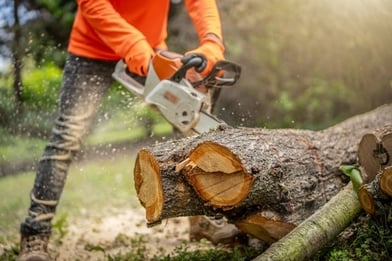 A man uses a chainsaw to cut up a tree.