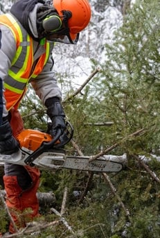 shutterstock_2730541065